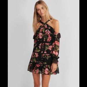 Express Floral Cold Shoulder Fit and Flare Dress